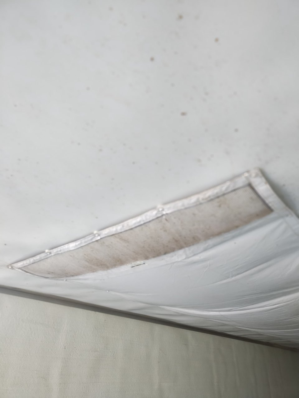 Molding removal service