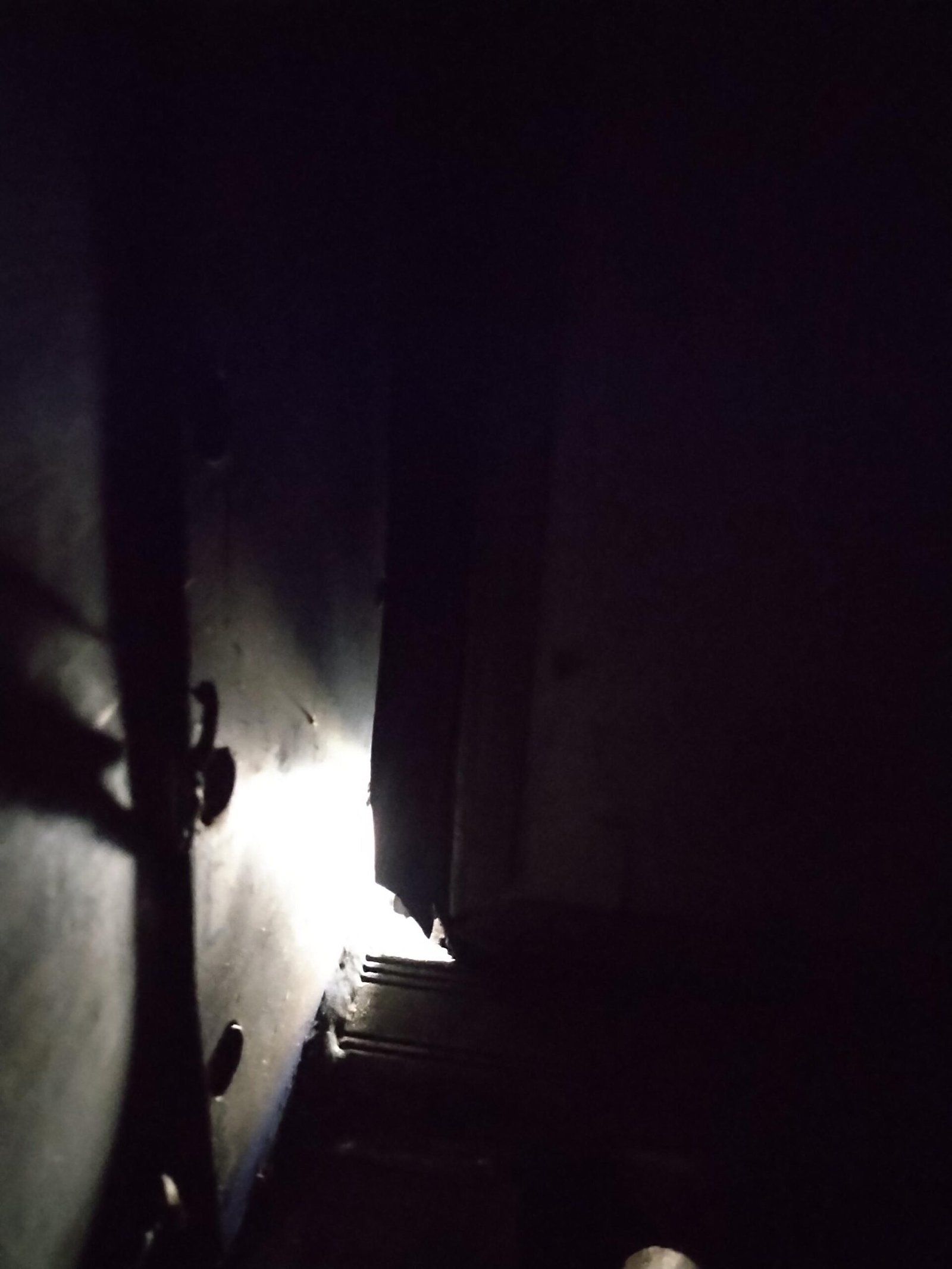 Door seal light penetration